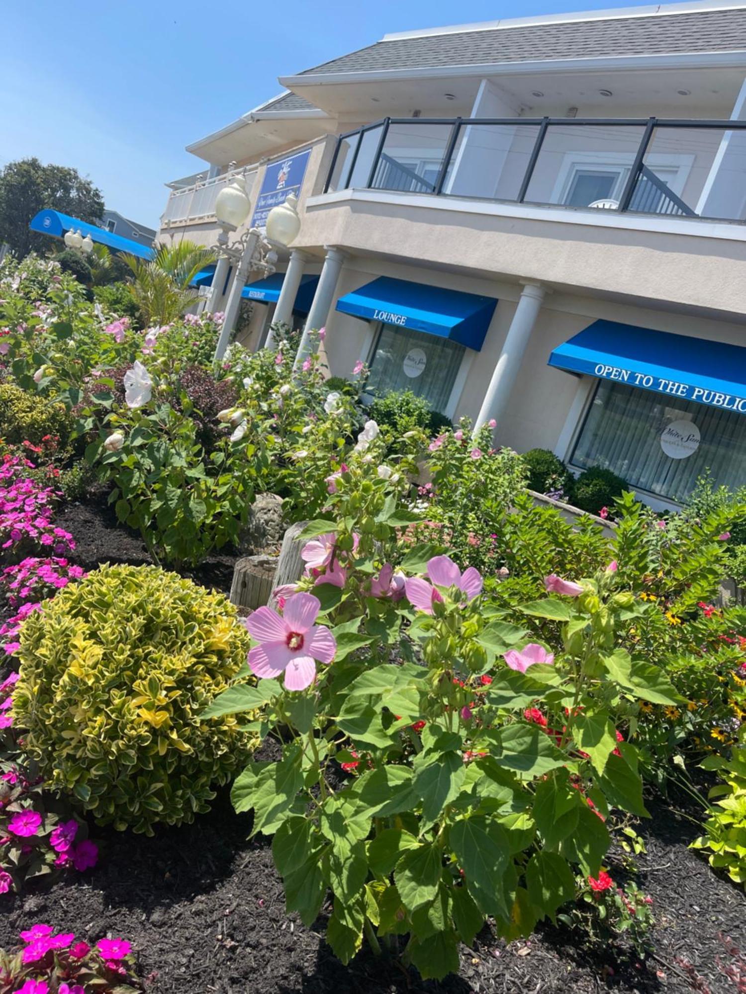 The White Sands Resort And Spa Point Pleasant Beach Eksteriør billede
